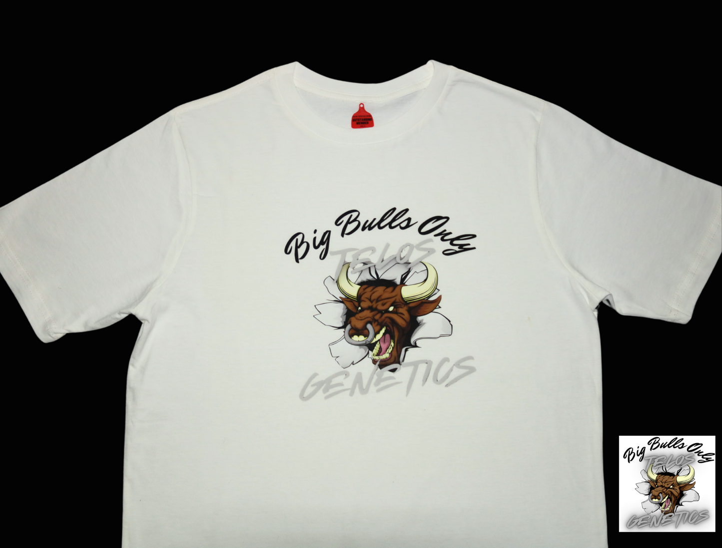 Big Bulls Only with Bull Bursting Out