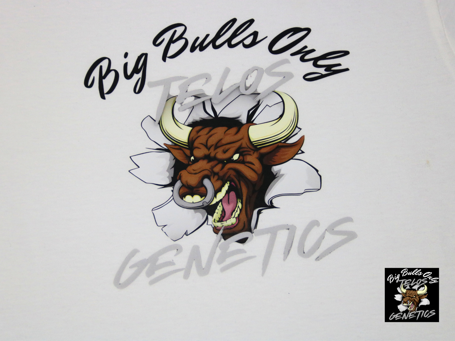 Big Bulls Only with Bull Bursting Out