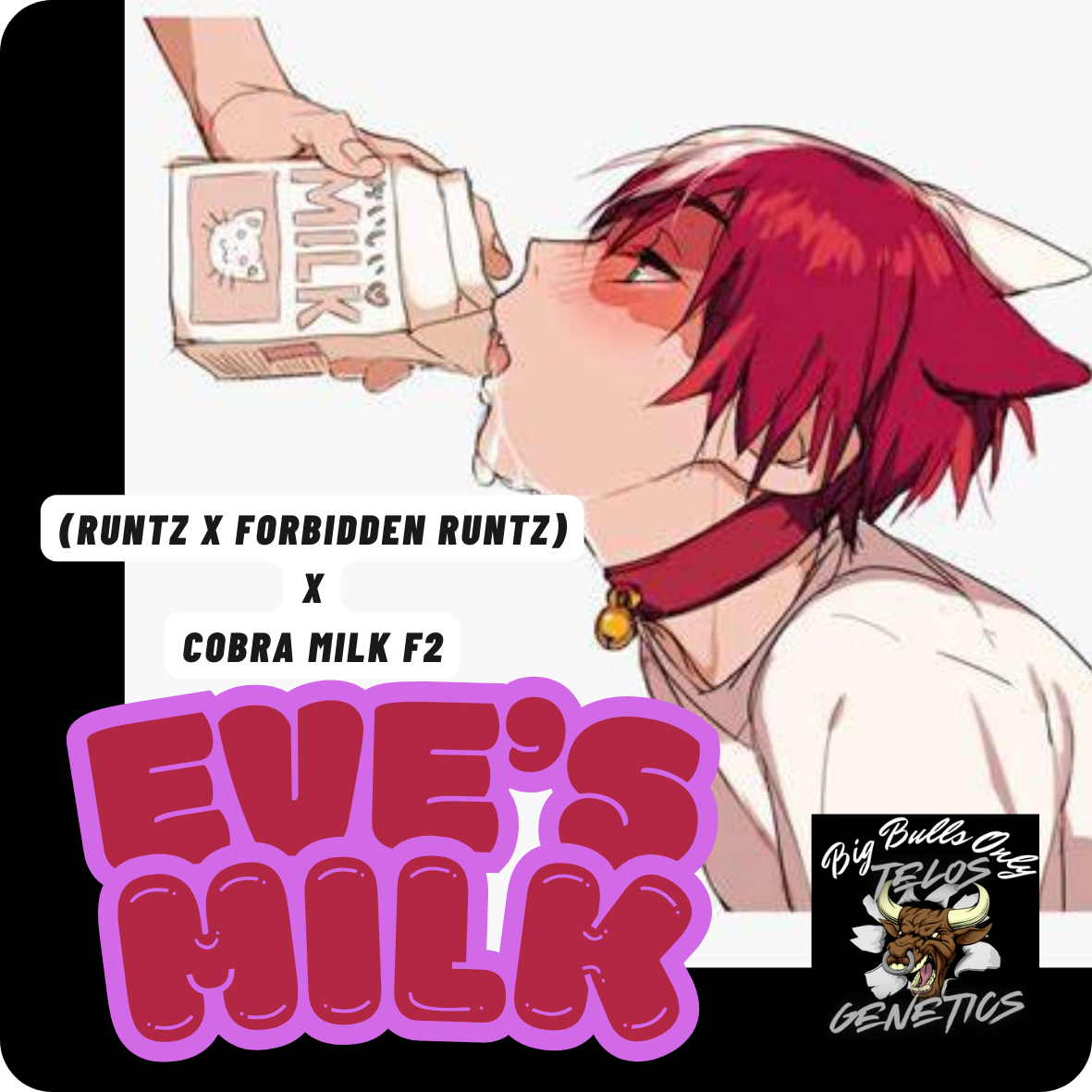Eve's Milk F1 Regs